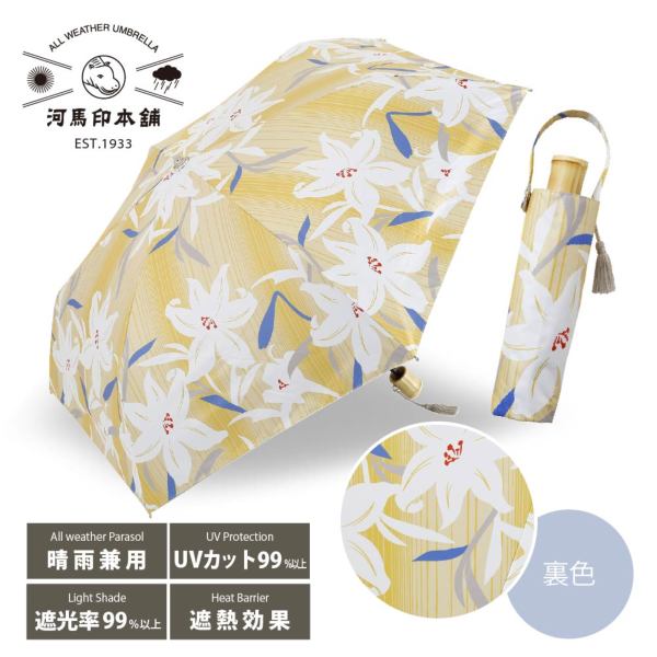 �J���[�o���G�[�V����