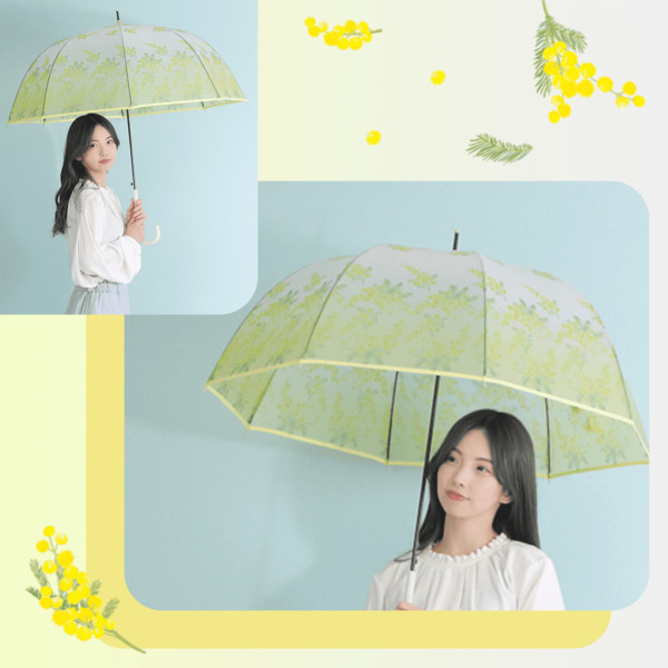 【美品】DayDreamCarnivalプリントアンブレラ マットクリアアンブレラ【4柄】｜ビニール傘 ｜LINE DROPS