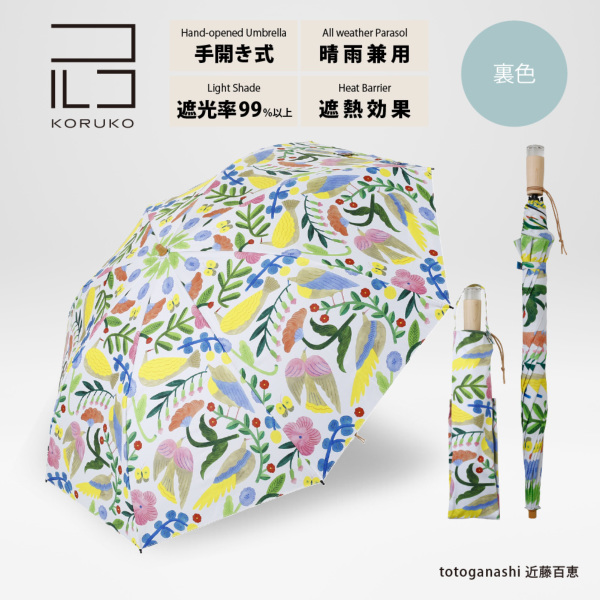 �J���[�o���G�[�V����