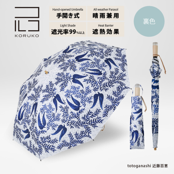 �J���[�o���G�[�V����