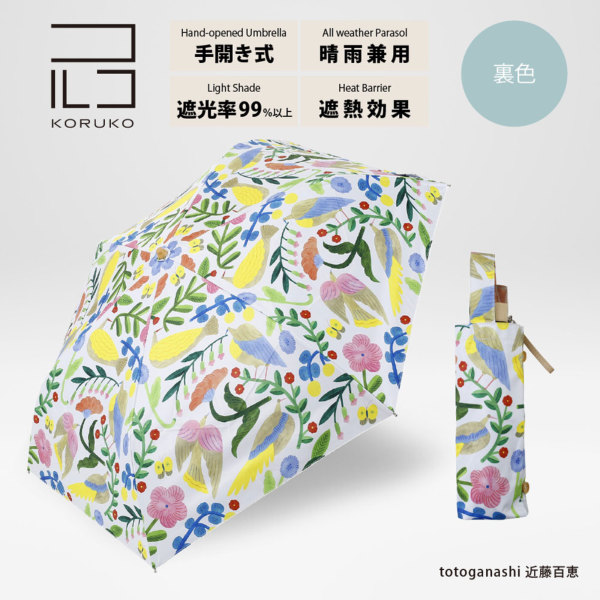 �J���[�o���G�[�V����