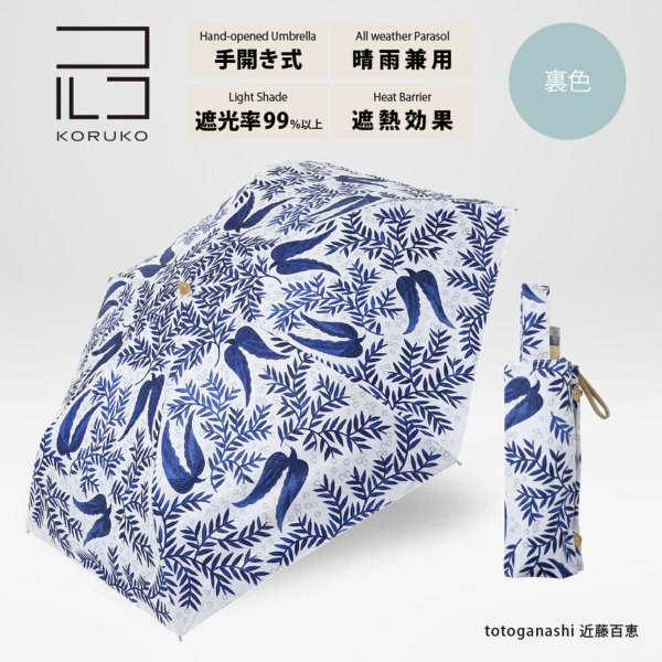 �J���[�o���G�[�V����