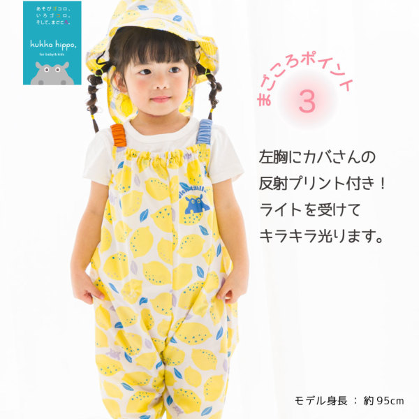 かごの中の太陽　ダブルレインボウ　1枚 プレイウエア【ダイナソー】